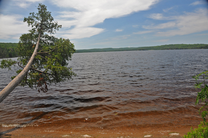 Algonquin Provincial Park