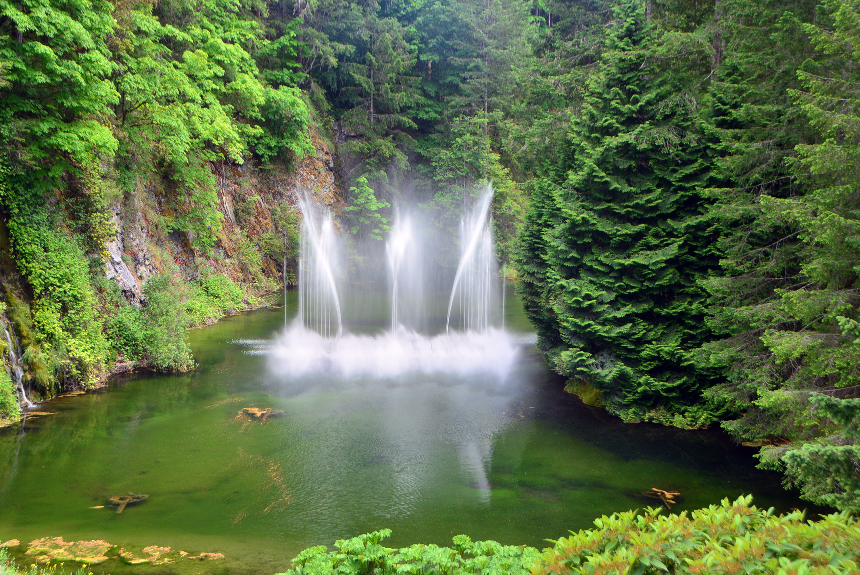 Butchart Gardens