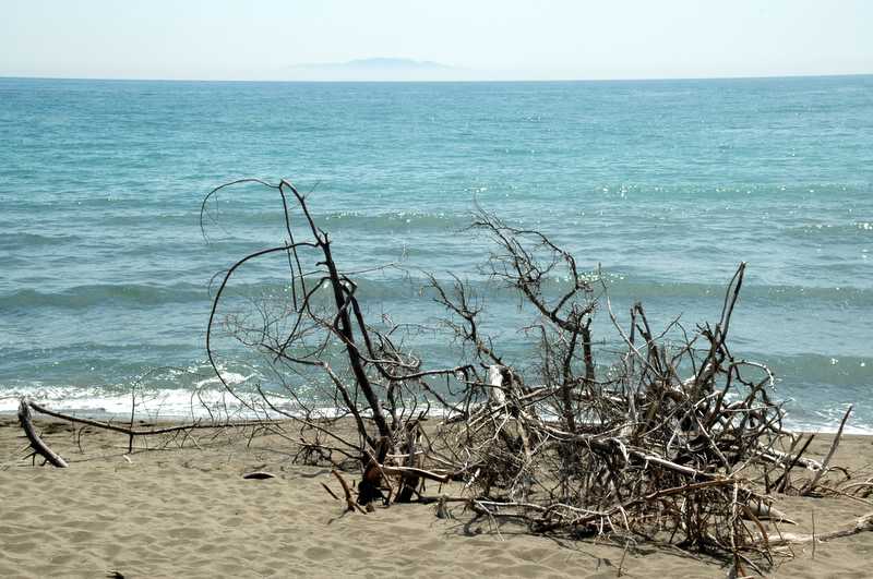 Maremma