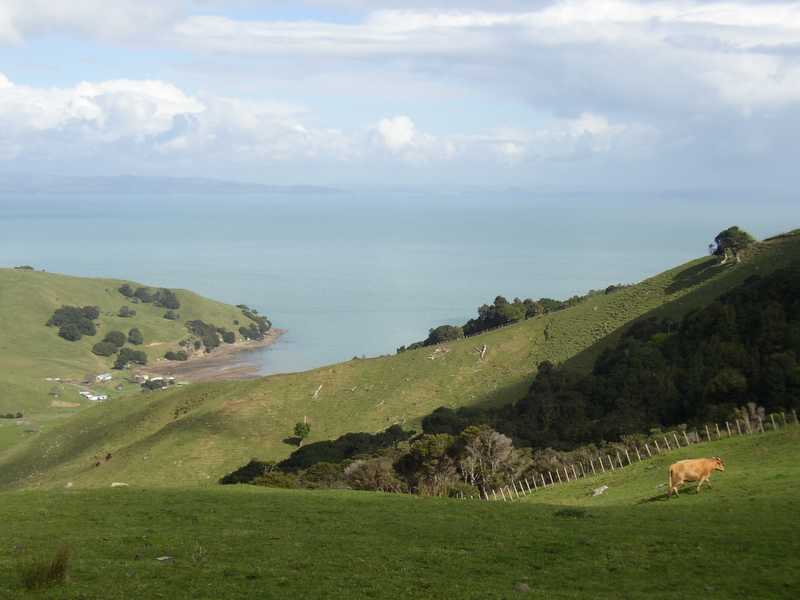 Coromandel Halbinsel